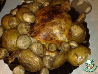 ������ �����+������ �����������