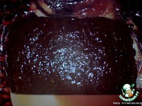 �������� "��������" �����������