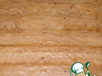 ����� � ������ �� ���������� �����������