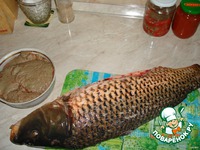 ���� � ����� �������� �����������