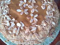 ���� "�������" �����������