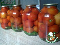 ���������������� ������ � �������� ��� ������������ �����������