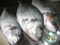 ���� ���������� �����������