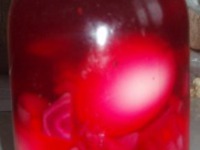 ������������.... ���� �����������