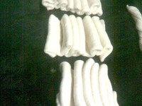 �����-�������� �����������