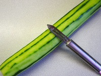 ������������� ������ �����������