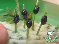 "���������� �� �������" �� ������� �����������