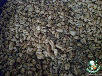 ������� �����������