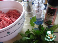 ������ ������ �� �������� �����������