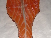 ����� ���������� �����������