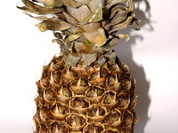 ������ �� ������� �����������