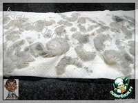 �������� �����������