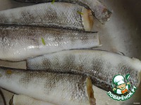 ���� � ��������� �����������