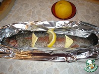 ������, ���������� � ������ �����������