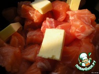 ����� � ������ � ��������-��������� ����� �����������