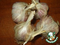 ������ � ��������-������� ����� �����������