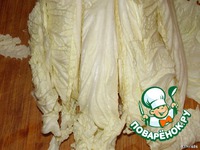 ������� "����������" �����������