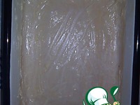 �����-�������� ���� �����������