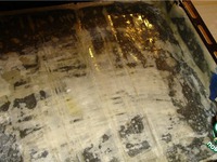 ���� � �����-������ �����������