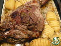 ���� ������, ���������� � ������ �����������