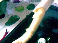 ������� � ��� �����������