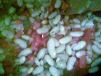 ��������� � ������� �����������