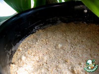 ������� �� ������� � ������ �������� �����������