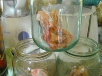 ����������� ���� � ��������� �����������