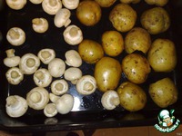 ������ �����+������ �����������