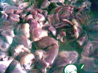 ������� �� ������� �������� �����������