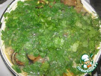 ������ ��� "�������" �����������