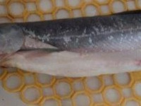 ������� ���� "� ����������!" �����������