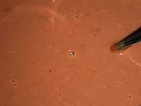 ����-��������� �����������