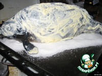 ���� �� ���� �����������