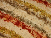 �������� �����������