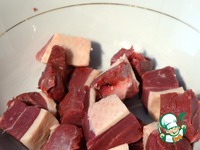 ������ ������ � �����-����������� ����� �����������