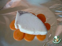 ������ ���� �����������