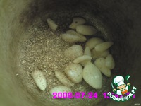 ������ ��� ��������-�������-�������� ������  �  ���������� �����������