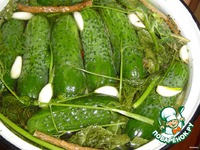 ������ ����������� �����������