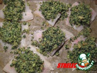 ������� � ����������� ����� �����������