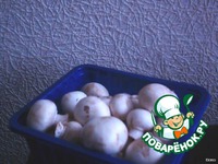 ���������� 	������������ �����������