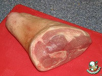 ������������ ���������� ������ "�������" �����������