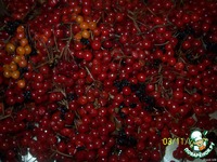 ����� � ������� � ���������� �����������