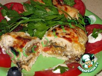 �������� ������-������������ �����������