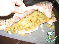 ����, ���������� � ����� �����������