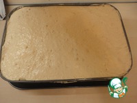 ���� "����-�����" �����������