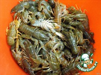 ���� ������� � ������� �����������