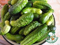 ������ "����" �����������