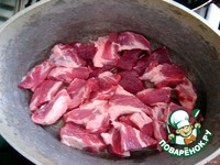 �������� �����������