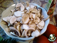 ���-��� ��-�������� �����������